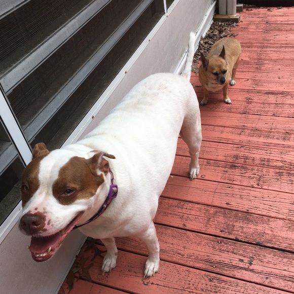 Meet your Posher, Jennifer - Picture 9 of 9